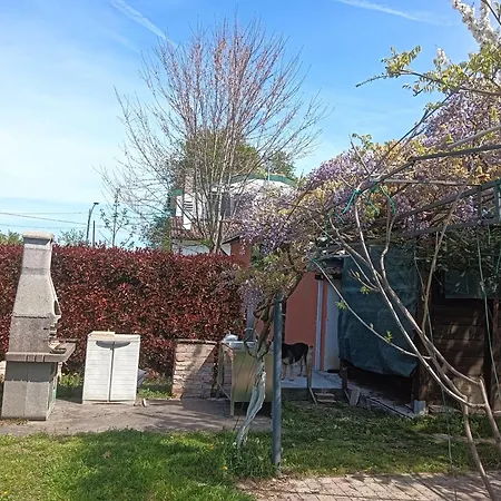 Fiore, Bilocale, Zona Ducati. Bolonha